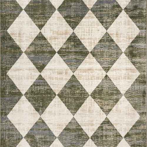 Isolated view of Green Rectangle Vanni Checkered Fringed Rug, showcasing its design