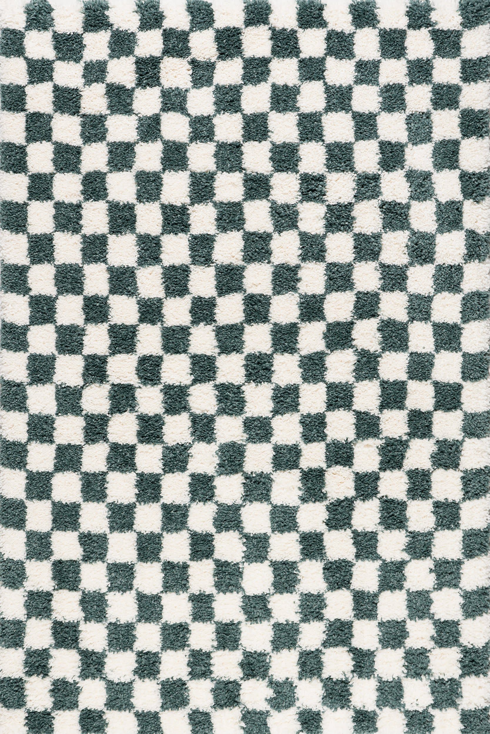 159209aa4726a298f4875300aa2798955849cb87 Isolated view of Green Rectangle Bettie Retro Checkered Shag Rug, showcasing its design